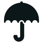 Protect SVG Icon